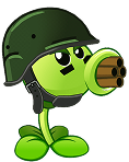 bullet